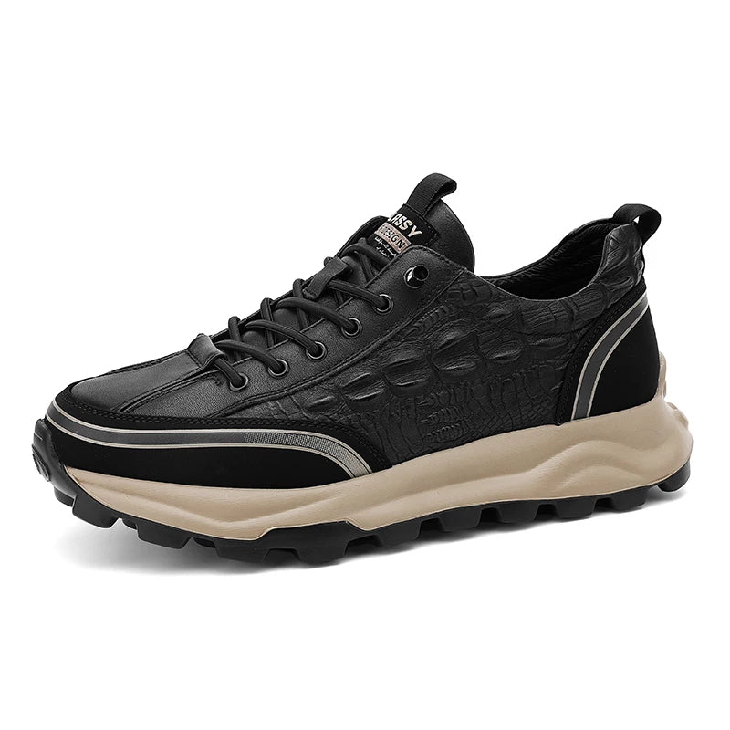Durable & Comfortable Rogue Shoes